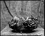 Click image for larger version. 

Name:	paper-negative-8x10-rscphoto-untitled.jpg 
Views:	107 
Size:	186.6 KB 
ID:	101207