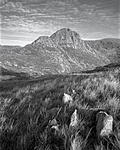 Click image for larger version. 

Name:	Tryfan LF.jpg 
Views:	324 
Size:	98.2 KB 
ID:	157907