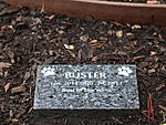 Click image for larger version. 

Name:	Buster Stone.jpg 
Views:	56 
Size:	86.0 KB 
ID:	213630