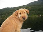 Click image for larger version. 

Name:	Hailey at the lake2.jpg 
Views:	22 
Size:	211.0 KB 
ID:	216737